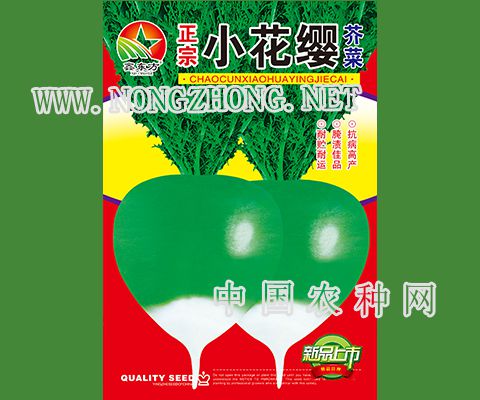 正宗小花缨芥菜
